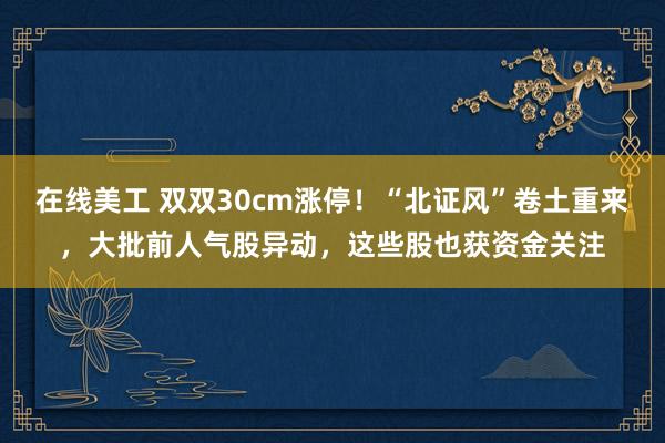 在线美工 双双30cm涨停！“北证风”卷土重来，大批前人气股异动，这些股也获资金关注