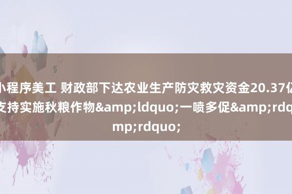 小程序美工 财政部下达农业生产防灾救灾资金20.37亿元 支持实施秋粮作物&ldquo;一喷多促&rdquo;