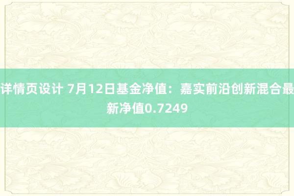 详情页设计 7月12日基金净值：嘉实前沿创新混合最新净值0.7249