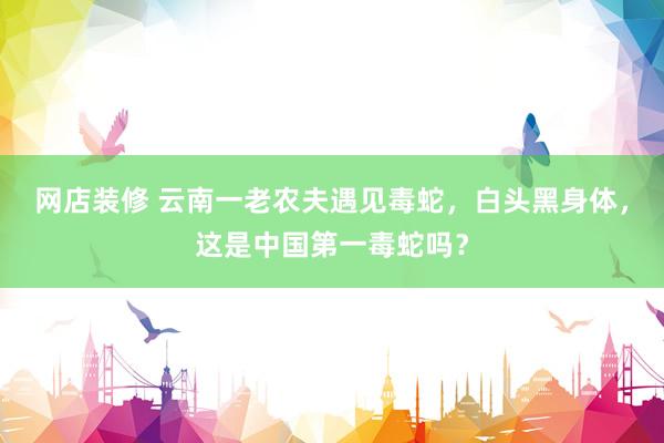 网店装修 云南一老农夫遇见毒蛇，白头黑身体，这是中国第一毒蛇吗？